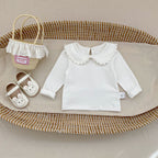 Tops – Petite Frill Collar No.1